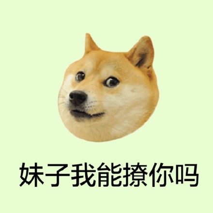 超火柴犬Doge头像合集