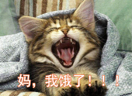 父女对话表情包火了！一句“我妈呢”戳中多少人的日常