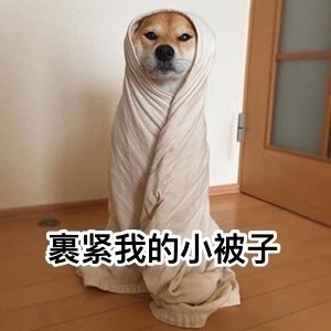 要说汪星人里最讨喜的，还得是doge