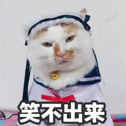自带反差感！这组花脸猫咪表情包太适合斗图了