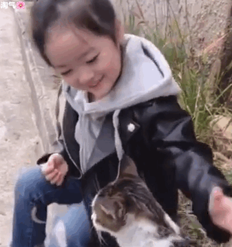 权律二撸猫表情包合集来啦