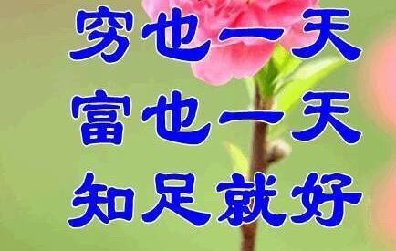 这套佛系九连表情包，把躺平心态直接焊在脸上
