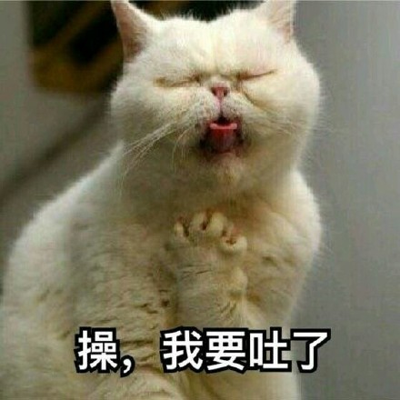 超实用！这套猫咪表情包帮你精准表达情绪