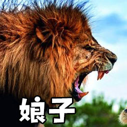 情侣互动感拉满！这套“娘子 啊哈”表情包太适合拌嘴秀恩爱了