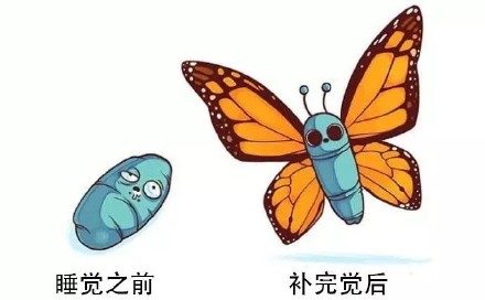 戳中笑点！这组扎心脑洞小漫画太真实了