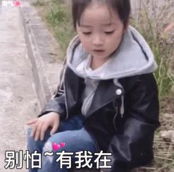 权律二撸猫表情包合集来啦