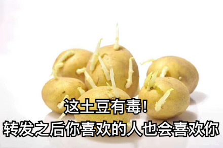 火出圈的“不管了这有毒，得转”表情包，赶紧存来斗图