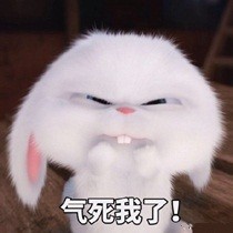 《爱宠大机密》兔子表情包合集