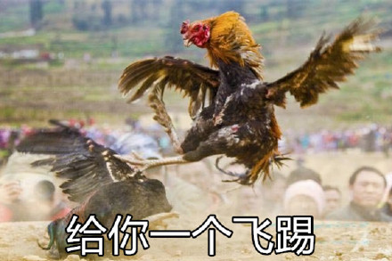 1月26日热门表情包合集来啦