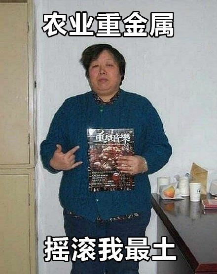 中国大妈风表情包火了？画面感拉满，看完直呼辣眼睛！