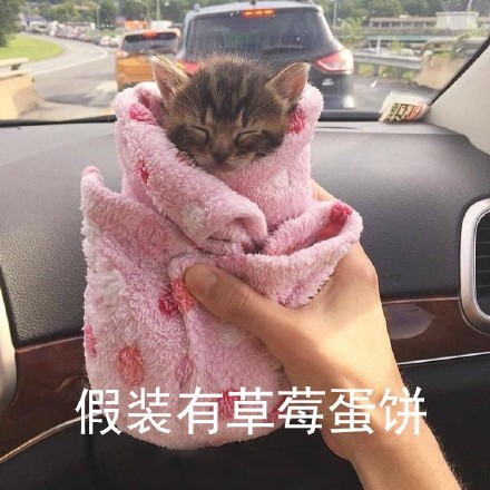 「皮皮虾，我们走」全套斗图表情包合集