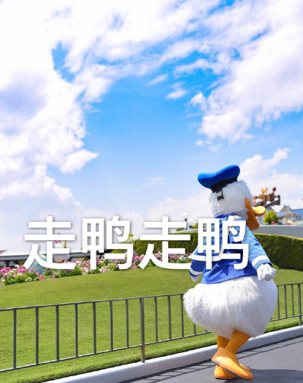 唐老鸭表情包第三弹来啦！