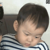 宋民国专属动图表情包合集