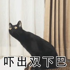 养猫斗图党看过来！这套小猫惊恐表情包太好用了