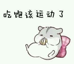 软萌仓鼠撒娇表情包合集
