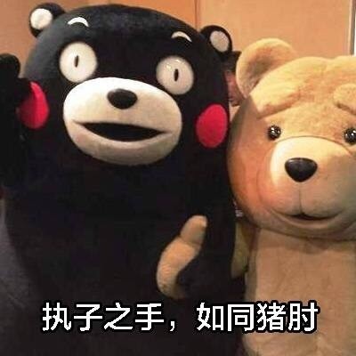 熊本熊版现代诗集表情包火了