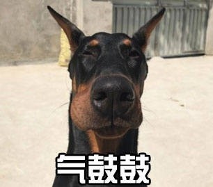 汪星人气鼓鼓表情包来啦