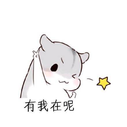 用这套仓鼠表情包，教你把女朋友哄得服服帖帖