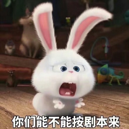 《爱宠大机密》小白兔表情包来啦，聊天斗图用得上