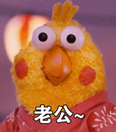 情侣们看过来！鹦鹉兄弟专属情侣表情合集