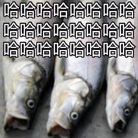 鱼头版喊人表情包来啦！