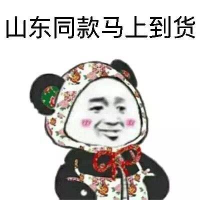 聊天斗图新选择！插兜系列表情包合集