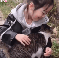 权律二撸猫表情包合集来啦