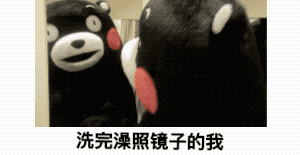 可爱熊本熊GIF表情包合集