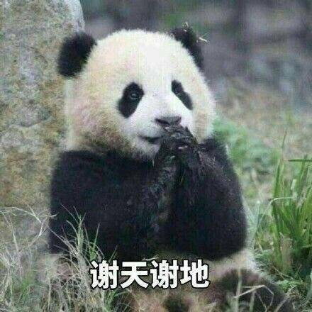 软萌熊猫团子表情包合集