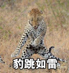 超火的“非常豹笑”表情包合集来了