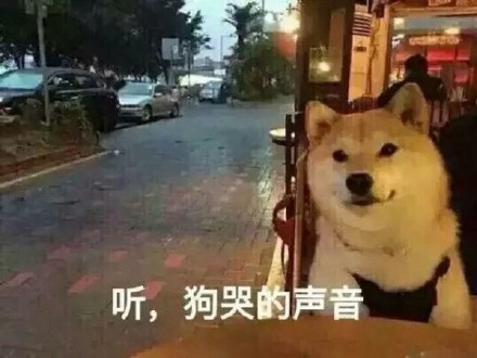 单身狗专属emo表情包来啦！这份合集用调侃的语气唱出了单身深夜的迷茫情绪，还搭配了多组适配斗图的趣味表情。