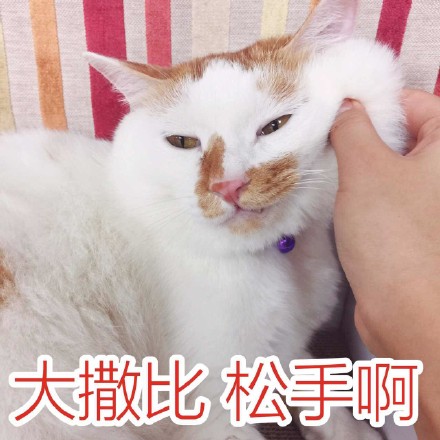 花脸喵星人表情包来啦！斗图又有新素材了