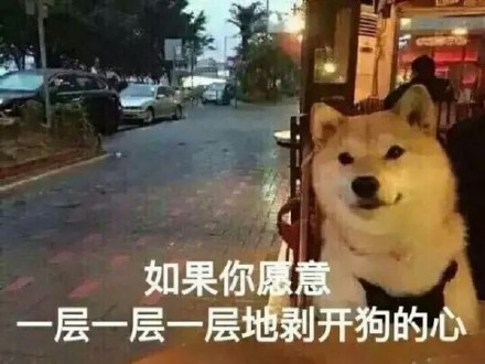 单身狗专属emo表情包来啦！这份合集用调侃的语气唱出了单身深夜的迷茫情绪，还搭配了多组适配斗图的趣味表情。