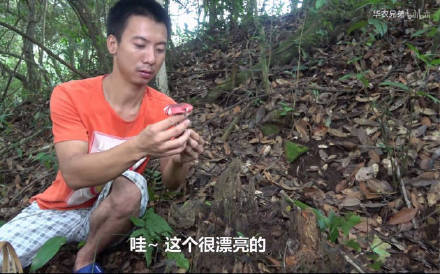 华农兄弟“你好漂亮”表情包合集