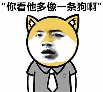 哪句话会让你突然觉得孤独？