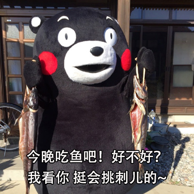 不想跟杠精掰扯？这套熊本熊怼人表情包帮你优雅回怼