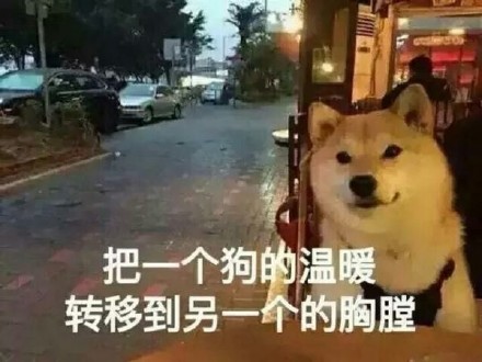 单身狗专属emo表情包来啦！这份合集用调侃的语气唱出了单身深夜的迷茫情绪，还搭配了多组适配斗图的趣味表情。