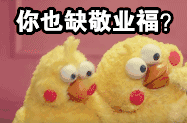 鹦鹉兄弟：今年集五福，你集齐敬业福了吗？
