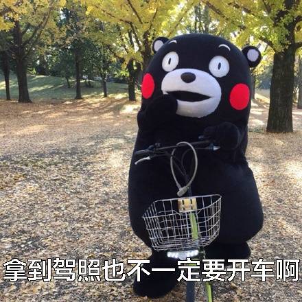 熊本熊表情包：男生追到女生后就变了？这套表情包给你说透