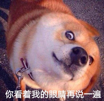 聊天怼人神器！瞪眼Doge表情包合集