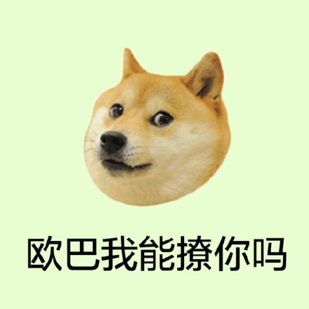 超火柴犬Doge头像合集