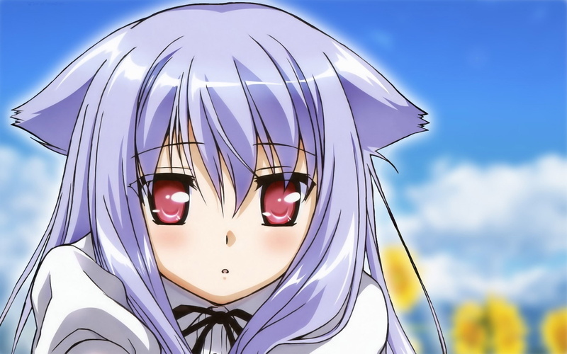 超养眼1080P动漫壁纸！迷糊猫耳少女桐野望带你逛户外建筑艺术展