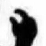 吃货心虚必备！我真的就吃了一点点表情包合集