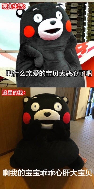 追星前后的我反差有多大？这套熊本熊表情包太真实了
