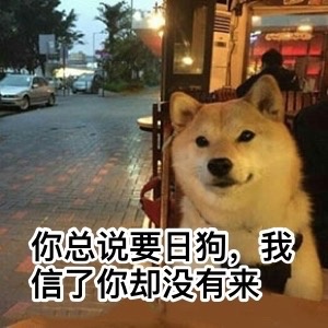 要说汪星人里最讨喜的，还得是doge