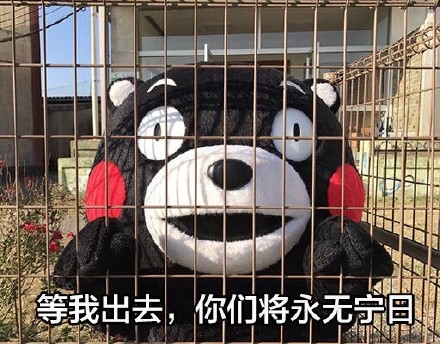 等我出去，我要把你们...熊本熊表情包合集