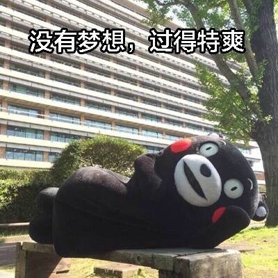 熊本熊版现代诗集表情包火了