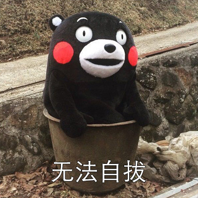 这套熊本熊表情包，看完你第一个想到谁？