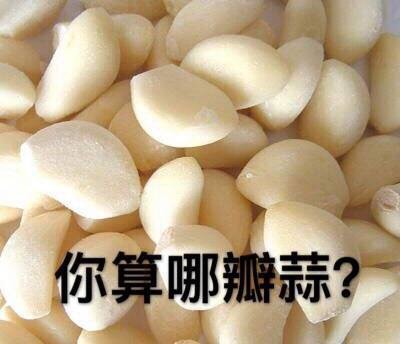 “你算个什么东西？”系列怼人表情包合集