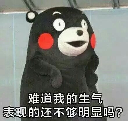 熊本熊怼人表情包来啦 斗图又有新素材